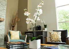 Denttist Pro Seating Area